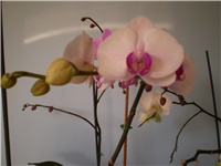 400a93f3-Picture 092.jpg